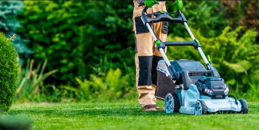 Cordless Lawn Mowers, The Ultimate Guide to Choosing the Best for Your Yard