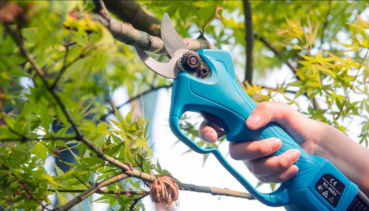 Electric Garden Pruners, Your Comprehensive Guide to Powerful Pruning Solutions