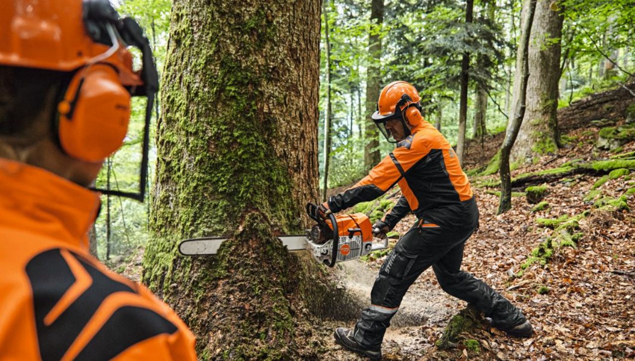 Petrol Chainsaws, Your Ultimate Guide to Power, Performance, and Safety