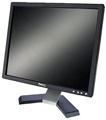 DELL 19in XGA, FLAT MONITOR CHEAP TFT/LCD COMPUTER PC LAPTOP SCREEN VGA/DVI Ports GRADE A (Renewed).