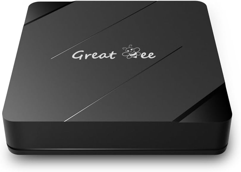 Great Bee New Model GBM1 Free for Life Arabic TV Box Android 10 Allwinner H313 2G 16G Arab Smart TV Boxes.