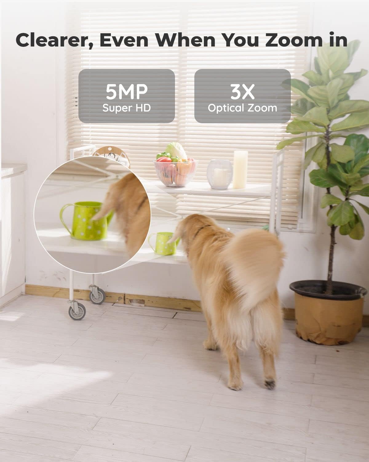 Reolink 5MP PTZ Indoor WiFi Security Camera, 2.4GHz 5GHz Dual - Band WiFi, 3X Optical Zoom WiFi CCTV Camera for Elder Pet Baby, 2 Way Audio, with SD Card Slot, E1 Zoom - Amazing Gadgets Outlet