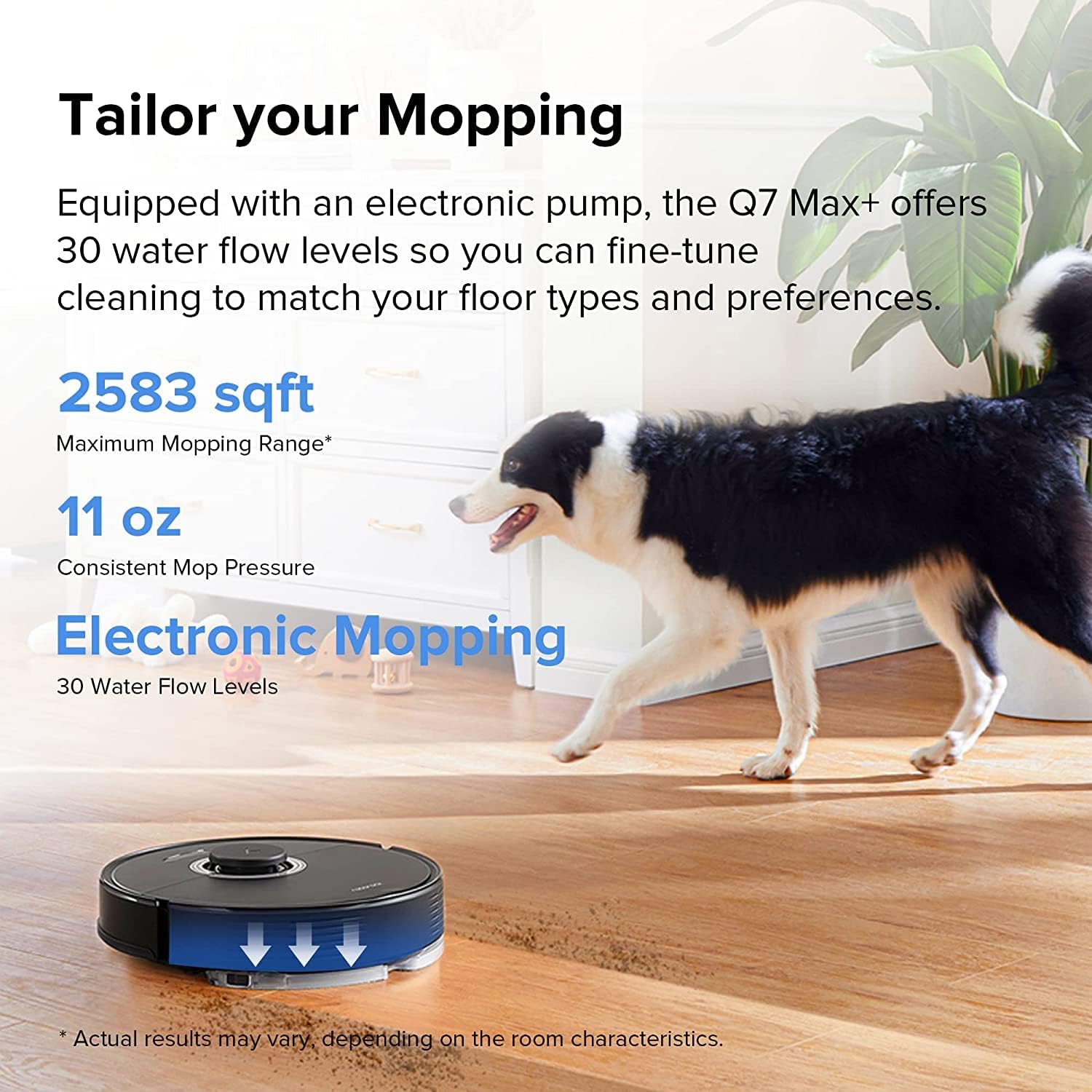 roborock Q7 Max+ Robot Vacuum Cleaner, Hands - Free Cleaning for up to 7 Weeks, with APP - Controlled Mopping, 4200Pa Suction, No - Mop&No - Go Zones, 180mins Runtime, Works with Alexa(Black)   Import  Single ASIN  Import  Multiple ASIN ×Product customiz - Amazing Gadgets Outlet