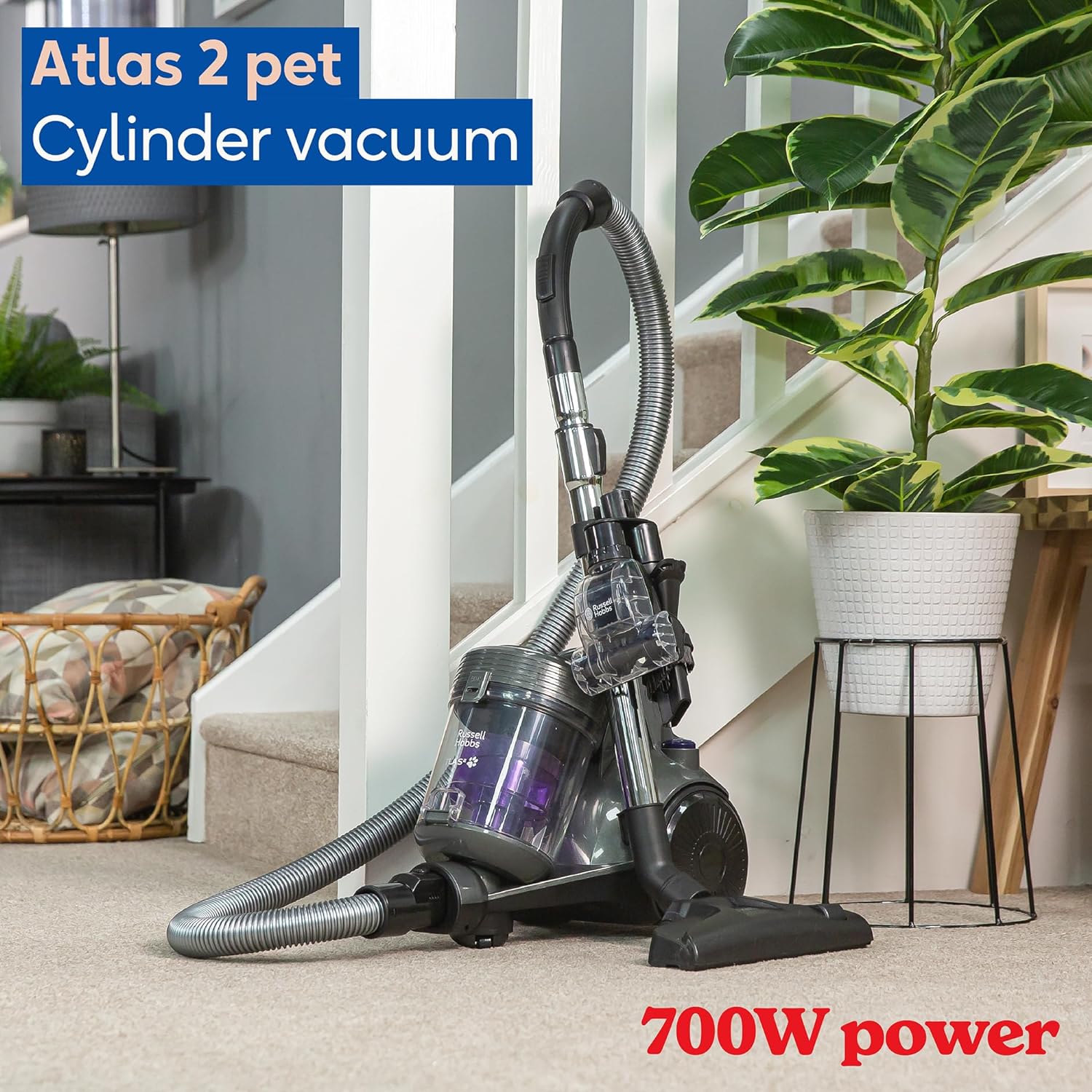 Russell Hobbs Cylinder Vacuum Cleaner ATLAS2 PET 2.5 Litre Grey & Purple with 3 in 1 Multi - Tool, Triple Dust Lock 700W High Efficiency Motor, PET Turbo Tool, 2 Year Guarantee RHCV3601 - Amazing Gadgets Outlet