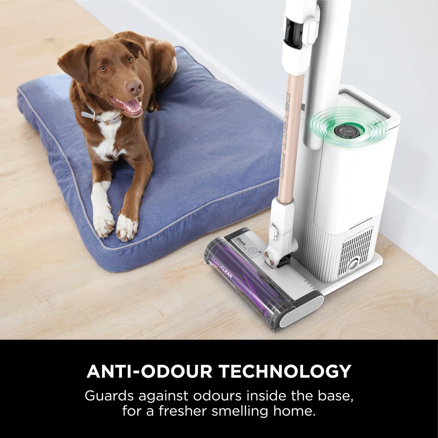 Shark Detect Pro Cordless Vacuum Cleaner with 2L Auto - Empty System, Ultra - Lightweight & Flexible Anti Hair Wrap Vacuum with Pet & Duster - Crevice Tools, 60 Mins Run - Time, Dock, White/Brass IW3611UKT - Amazing Gadgets Outlet