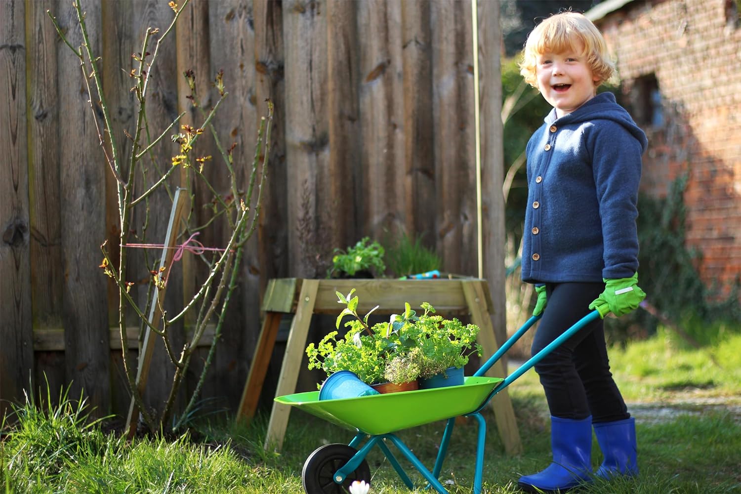 Small Foot 12014 Large Garden Set Made of Wood and Metal, with Wheelbarrow, Spade, Rake and Much More Toys, Multicoloured   Import  Single ASIN  Import  Multiple ASIN ×Product customization General Description Gallery Reviews Variati - Amazing Gadgets Outlet