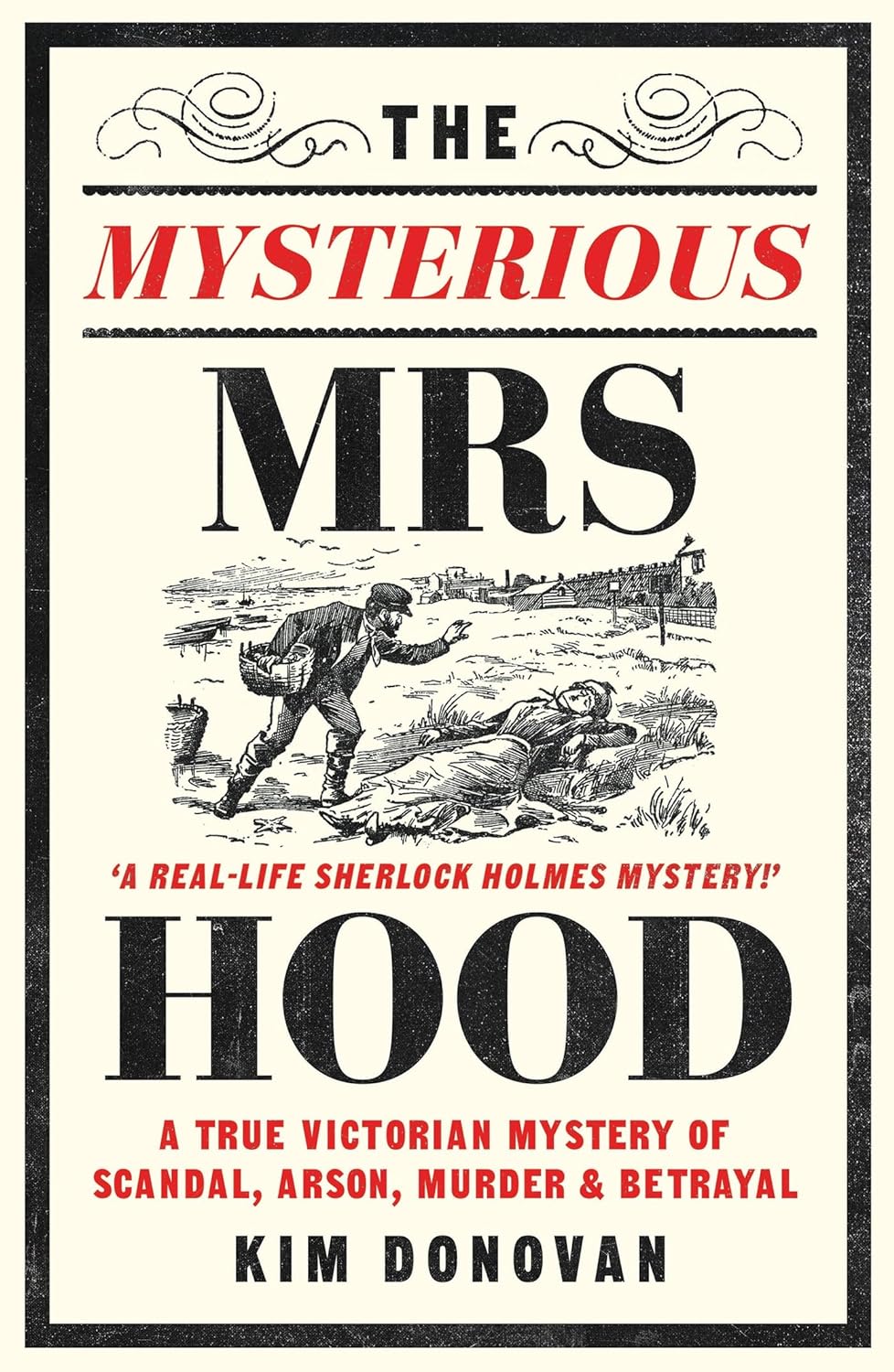 The Mysterious Mrs Hood: A True Victorian Mystery of Scandal, Arson, Murder & Betrayal - Amazing Gadgets Outlet