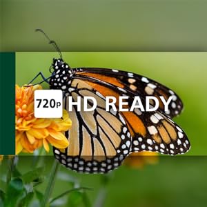 Toshiba 32WF2F53DB HD Ready Smart Fire TV - Amazing Gadgets Outlet