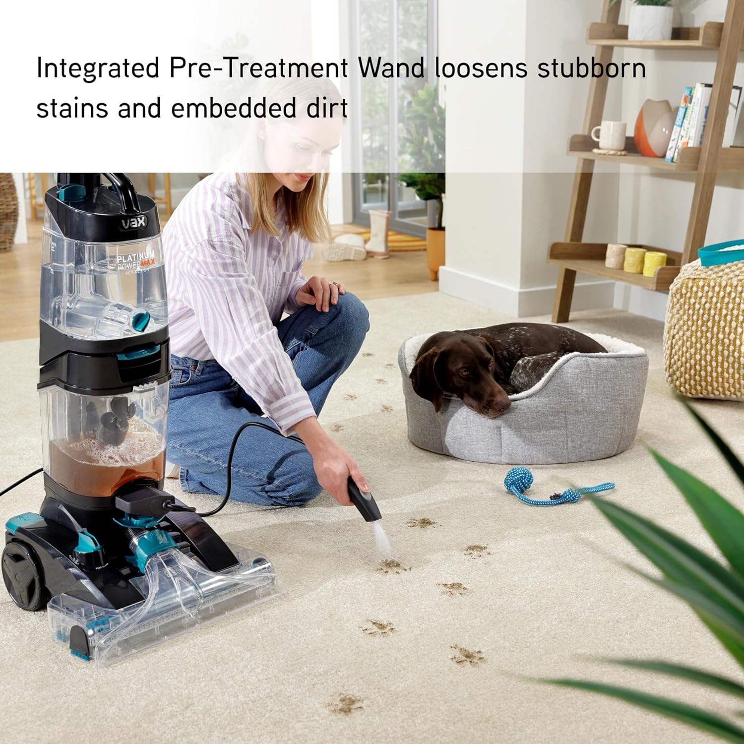 Vax Platinum Power Max Pet - Design Carpet Cleaner, Kills 99% of Bacteria, Proven to clean better than the leading rental   Import  Single ASIN  Import  Multiple ASIN ×Product customization General Description Gallery Reviews Variation - Amazing Gadgets Outlet