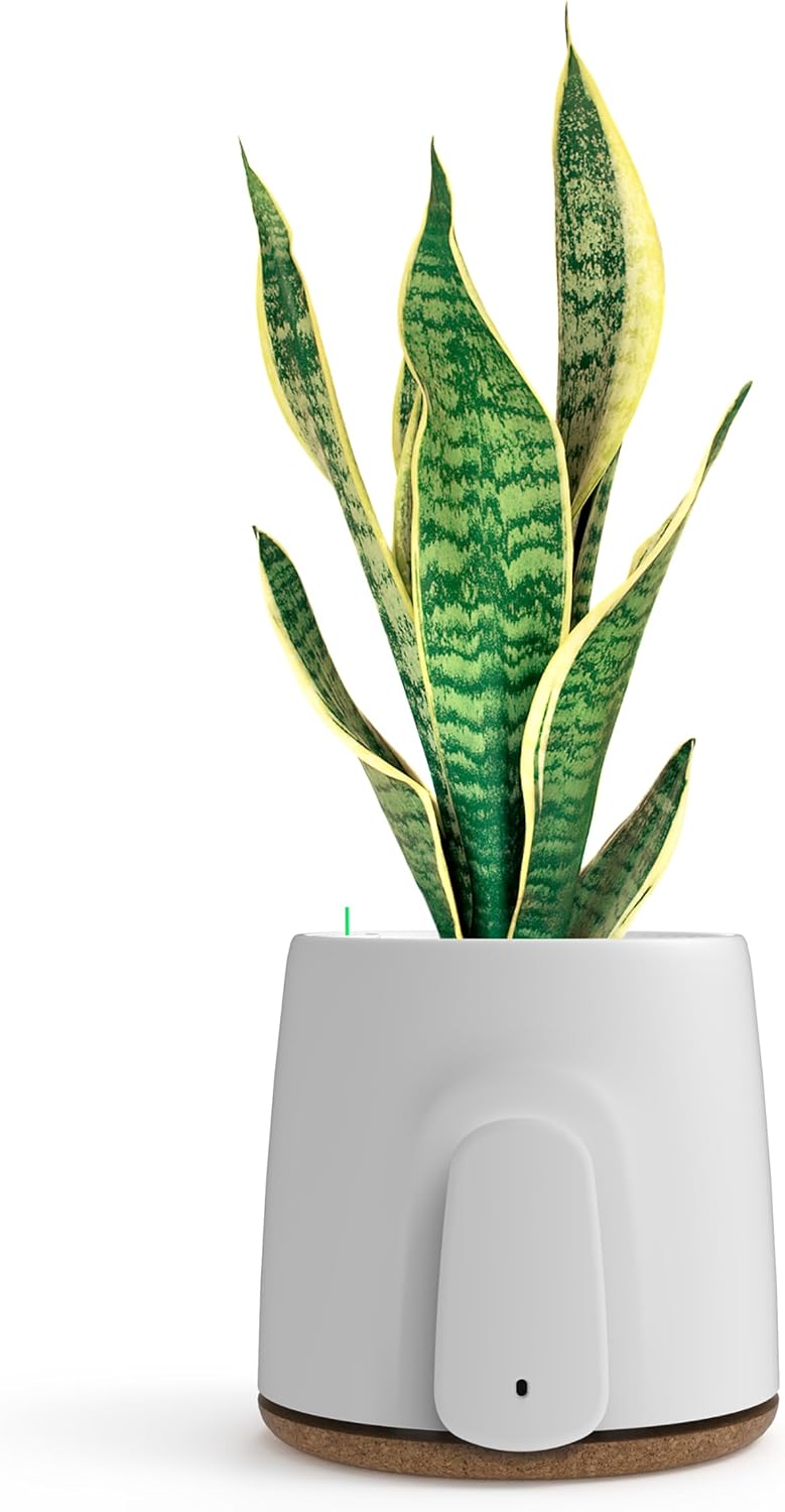 VITESY NATEDE BASIC Air Purifier Without Filters to Change | - 99% of Bacteria, Microbes, Mold, VOCs and Viruses | Capture Ambient Odors | Sustainable and MADE IN ITALY - Amazing Gadgets Outlet