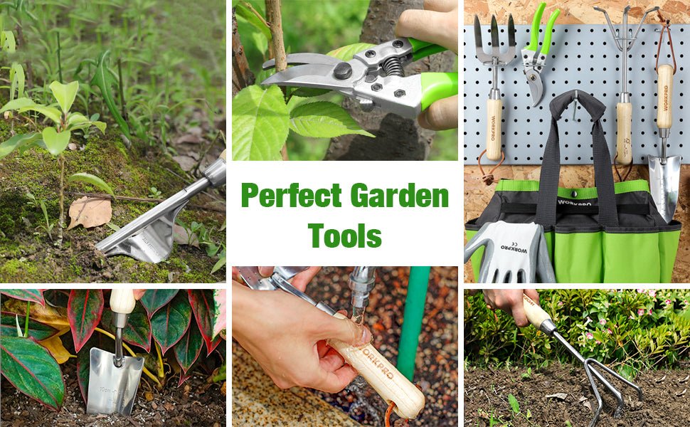 WORKPRO 7 Piece Garden Tools Set, Stainless Steel Hand Tools with Wooden Handle, Including Gloves, Trowel, Weeder, Hand fork, Hand Rake, Transplanter, Pruner and Garden Tote   Import  Single ASIN  Import  Multiple ASIN ×Product customization - Amazing Gadgets Outlet